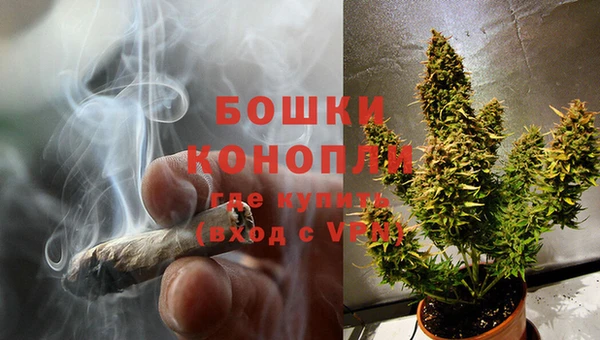 прущие грибы Кодинск