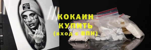 прущие грибы Кодинск