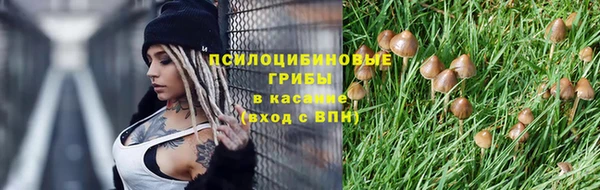 ГАЛЛЮЦИНОГЕННЫЕ ГРИБЫ Коряжма