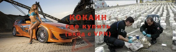 прущие грибы Кодинск