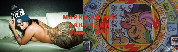 прущие грибы Кодинск